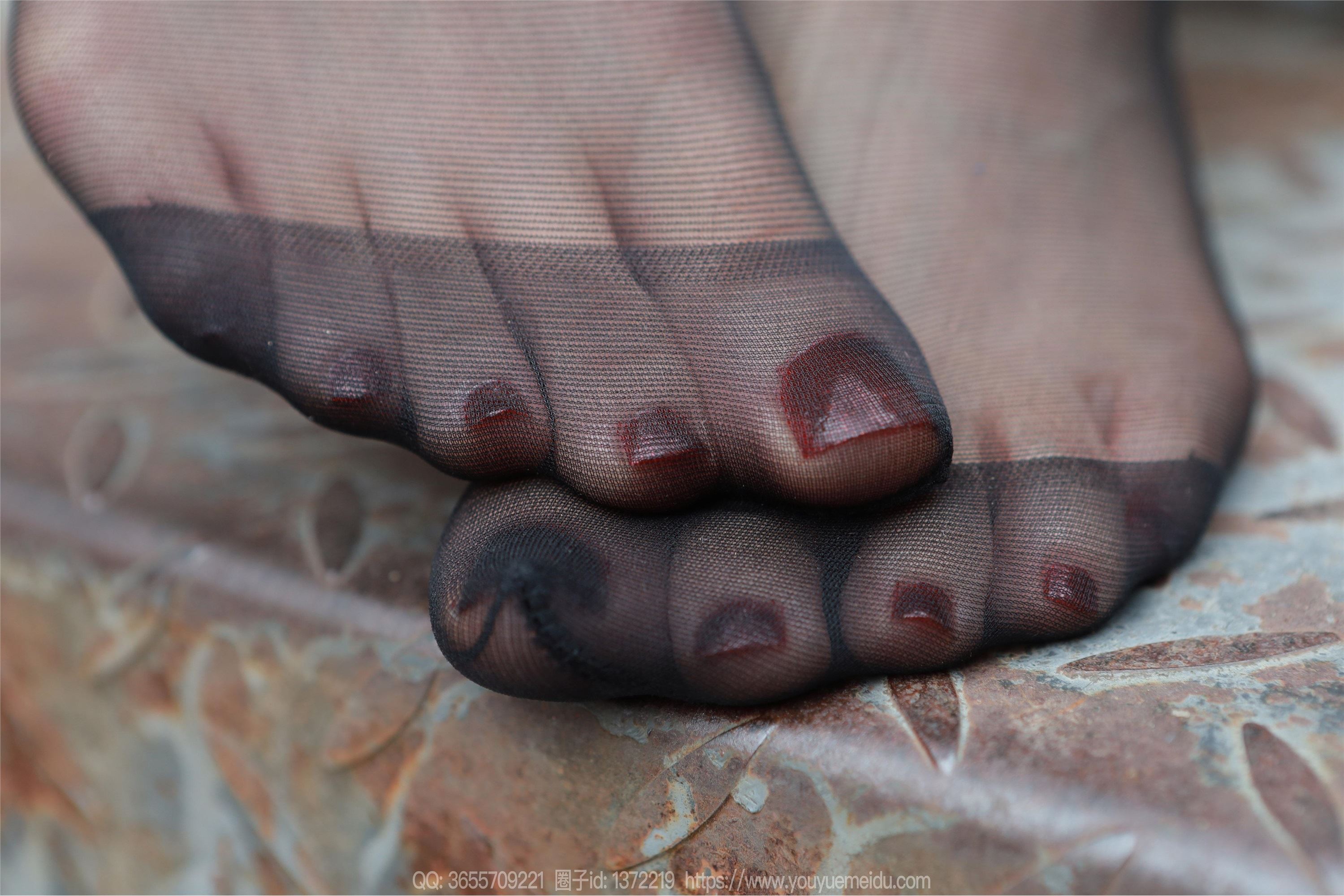 IESS异思趣向  2025.01.28 丝享家 1962 团团《恭喜发财（上） 除夕快乐》